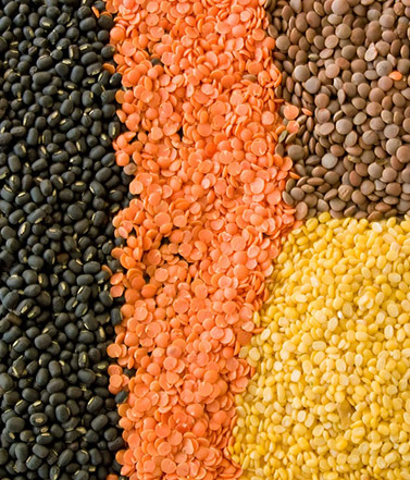 kinds-lentils